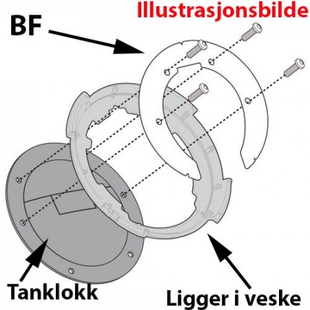BF20